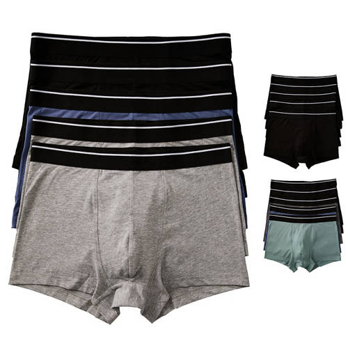 Group 1, Men's Trunks 5 Pack