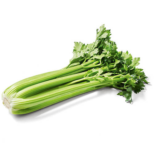 Celery Bunch