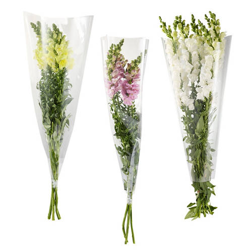 Front shot 4, Festive Bunch