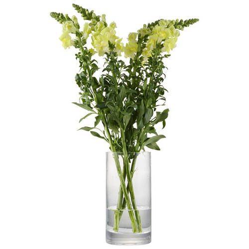 Front shot 2, Festive Bunch