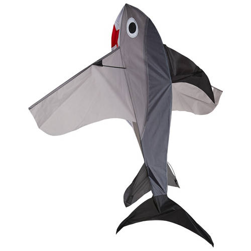 Front shot 1, 3D Kite