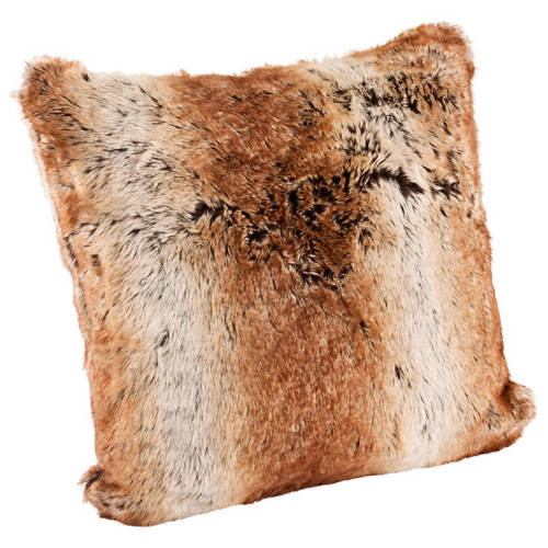 Front shot 2, Cushions