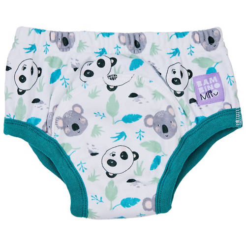 Front shot 3, Reusable Potty Training Pants 1 Pack