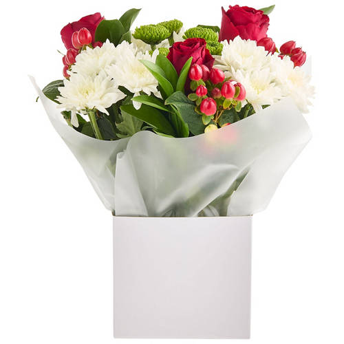 Front shot 3, Rudolph's Arrangement