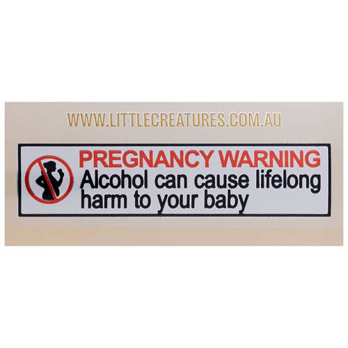 Front shot 5, Pale Ale Cans 4x375ml