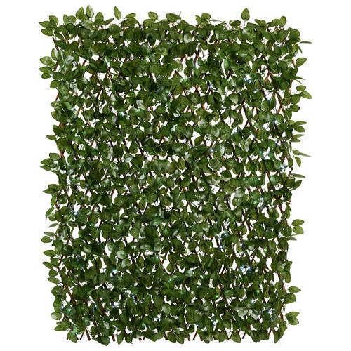 Front shot 2, Solar Leaf Trellis Assorted