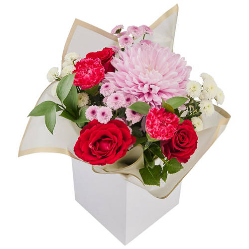 Front shot 4, Love Always Arrangement