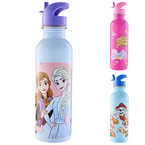 Group 1, Licensed Stainless Steel Drink Bottle Assortment