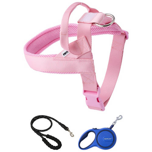 Group 1, Dog Harness or Retractable or Rope Lead
