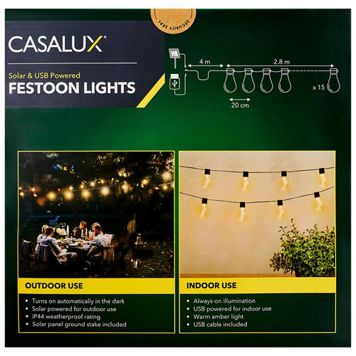 Front shot 4, Led Festoon Lights