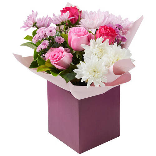 Front shot 2, Cherish You Arrangement