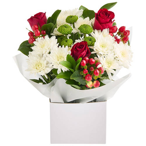 Front shot 2, Rudolph's Arrangement