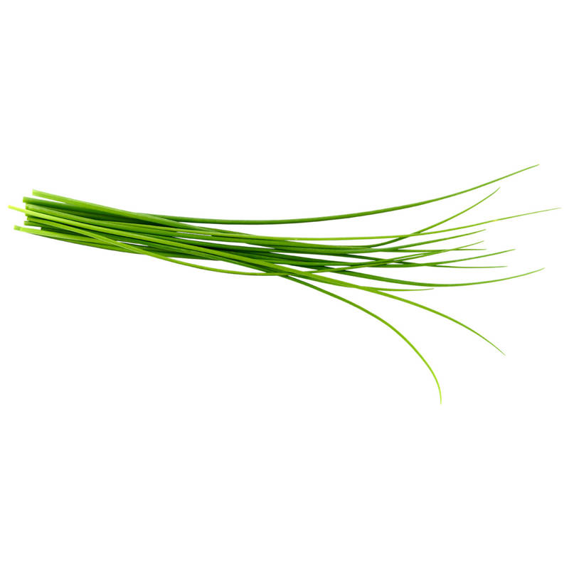 Living Herbs Chives